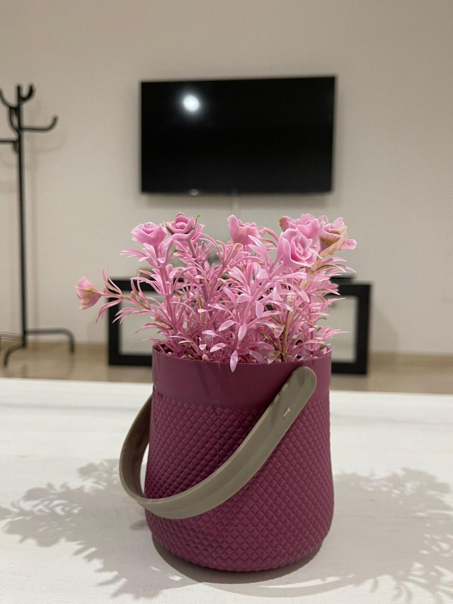 Sanlúcar de Barrameda Apartamentos Cayla מראה חיצוני תמונה